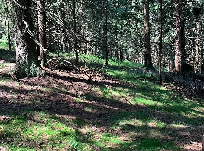 S Vyhlídkou Apartamento Horní Maršov