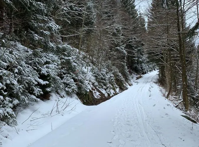 S Vyhlídkou Horní Maršov
